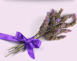 lavender image